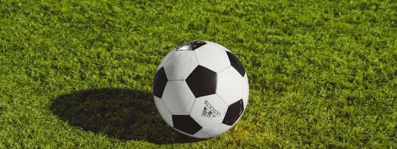 2026年世界杯三大主办国美国、加拿大、墨西哥地图与标志